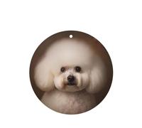 YYHWHJDE bichon frise - Ambientadores de coche de forma redonda con impresión de perro, paquete de seis tarjetas perfumadas para colgar en el armario, baño, decoración interior del coche