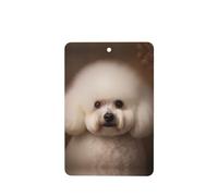 YYHWHJDE bichon frise - Ambientadores rectangulares para coche, diseño de perro, paquete de seis tarjetas perfumadas colgantes para armario, baño, decoración interior de coche