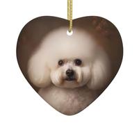 YYHWHJDE bichon frise - Colgante de cerámica con imagen de perro de Navidad, decoración de interiores, regalo para festivales
