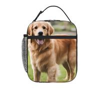 YYHWHJDE Bolsa de almuerzo portátil aislada con bonito patrón Golden Retriever, reutilizable, duradera para hombres y mujeres