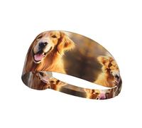 YYHWHJDE Bonita diadema deportiva con imagen de perro Golden Retriever para mujer, a prueba de sudor, banda elástica de verano
