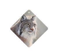 YYHWHJDE Canada Lynx - Ambientadores cuadrados para coche, paquete de seis tarjetas perfumadas para colgar en el armario, baño, decoración interior del coche