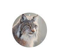 YYHWHJDE Canada Lynx - Ambientadores de coche de forma redonda, paquete de seis tarjetas: tarjetas perfumadas colgantes para armario, baño, decoración interior de coche