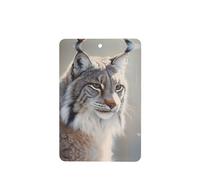 YYHWHJDE Canada Lynx - Ambientadores rectangulares para coche, paquete de seis tarjetas perfumadas para colgar en el armario, baño, decoración interior del coche