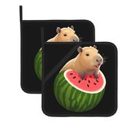 YYHWHJDE Capybara on Watermelon Prints - Juego de alfombrillas cuadradas de dos piezas, aisladas, gruesas, impermeables, fáciles de limpiar