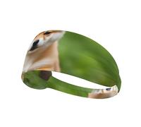 YYHWHJDE Linda diadema deportiva con imagen de perro Shiba Inu para mujer, a prueba de sudor, banda elástica de verano