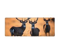 YYHWHJDE Nature Wild Animal Deer Picture - Alfombrilla de mouse extra grande para computadora, oficina, teclado antideslizante para juegos, versión gruesa, 30,5 x 80 cm
