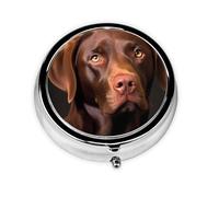 YYHWHJDE Pastillero redondo de 2 x 2 x 0.7 pulgadas, mini caja organizadora de pastillas de medicina de viaje para bolso, bolsillo, impresión de labrador retriever marrón