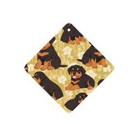 YYHWHJDE Rottweiler - Ambientadores cuadrados para coche, paquete de seis tarjetas perfumadas para colgar en el armario, baño, decoración interior del coche