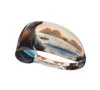 YYHWHJDE Sea Lion on The Rocks - Diadema deportiva para mujer, a prueba de sudor, banda elástica de verano