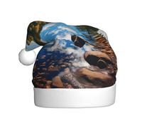 YYHWHJDE Sombrero de Navidad con estampado de Forest Lakes of New Hampshire, duradero para adultos, para Halloween, Navidad, Año Nuevo