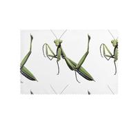 YYHWHJDE The Brave Mantis - Juego de 6 manteles individuales para mesa de comedor, resistentes al calor de 12 x 18 pulgadas, para hoteles, hogares y banquetes