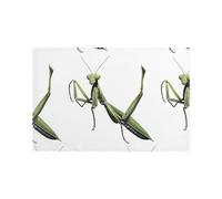 YYHWHJDE The Brave Mantis Pattern - Juego de 6 manteles individuales domésticos a prueba de aceite, aislantes del calor y duraderos, 12 x 18 pulgadas
