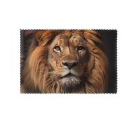 YYHWHJDE The Lion's Gaze - Juego de 6 manteles individuales para mesa de comedor, resistentes al calor de 12 x 18 pulgadas, para hoteles, hogares y banquetes