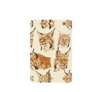 YYHWHJDE Wild Bobcat - Ambientadores rectangulares para coche, paquete de seis tarjetas perfumadas colgantes para armario, baño, decoración interior del coche