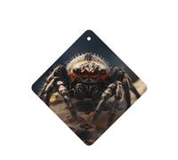 YYHWHJDE Wildlife - Ambientadores cuadrados para coche, diseño de araña, paquete de seis tarjetas perfumadas para colgar en el armario, baño, decoración interior del coche