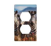 YYHWHJDE Zebras on South Africa Picture - Panel de pared de doble enchufe eléctrico es resistente a los golpes y duradero, 4.5 x 2.75 pulgadas