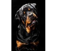 YYLPLLE 1000 Piezas Rompecabezas Rottweiler DIY Rompecabezas Juego Divertido Niños S Rompecabezas Adulto Regalo De Descompresión Único 50X75Cm