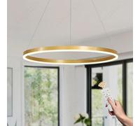 YYUTLUO Lámpara LED DIY Circular Moderna | 1 Oro Anillos :60cm=29W| Iluminación Colgante LED Metal+Acrílico, Control Remoto Regulable 2.4G Lámpara Colgante Techo Redonda Sala Estar Dormitorio
