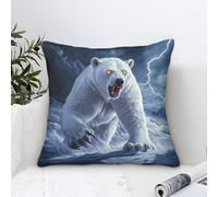YYVKPMLXC Funda Cojin Oso Polar Estética Artística,Paisaje de tormenta Polar Cuadrado Hogar Almohadas Fundas Poliéster Funda De Cojín para Salón Dormitorio con Cierre De Cremallera Oculta 45x45cm