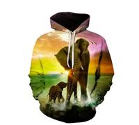 YYZOVBNN Hermosa Sudadera con Estampado 3D de Elefante y delfín Marino para Hombres y Mujeres, Chaqueta Holgada Informal de Estilo Urbano.