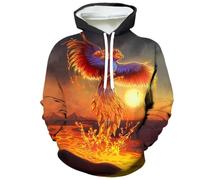 YYZOVBNN Sudadera con Capucha con Estampado 3D de pájaro fénix y Fuego Solar para Hombre y Mujer, Camiseta Deportiva Informal de Moda.