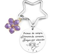 YZLPLP Regalo de la hermana de cumpleaños,Ideas de regalos Hermana Navidad,A mi hermana nunca olvides que te amo Primas de sangre,Hermanas de corazon,Amigas por elección