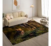 YZQGLHP Alfombra de área Pradera Alfombra Salon LeóN Antideslizante Lavable Alfombras Pelo Corto 60x90 cm, para Salón Dormitorio Oficina y Decoración del Hoga