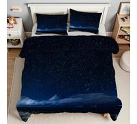 YZQGLHP Edredón Plumón 3D Cielo Estrella del Norte Edredón Microfibra Suave Noche Juego de Ropa de Cama Duradera para Todas Las Estaciones, Lavable a Máquina, 260 x 220 cm, 7 Fundas Almohada