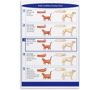 YZWRWRMKTB Animal Body Condition Chart Poster Cat Dog Score Veterinary Pet Health Weight Management Educational Decor(Framed,08x12inch(20x30cm))