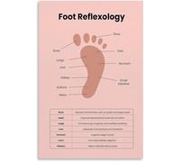 YZWRWRMKTB Foot Anatomy Wellness Poster Office Room | Combines skeletal structure with meridian lines for comprehensive foot understanding(Unframed,08x12inch(20x30cm))