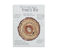 YZWRWRMKTB Tree Life Cycle Poster Educational Nature Growth Stages Canvas Wall-Art For Living Room Bedroom Classroom Decor(Unframed,08x12inch(20x30cm))