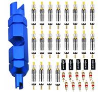 Z&D - Kit de Herramientas para reparación de núcleo de válvula de Bicicleta y Coche, Herramienta de reparación con núcleo de válvula Presta y Schrader de Repuesto sin Fugas