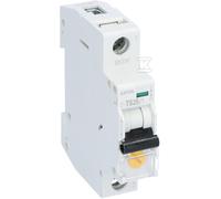 Z-TS25/1 Interruptor tarifario 266852