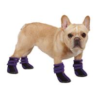 Zack & Zoey Bota de Neopreno para Perro, pequeña, Ultra Violeta