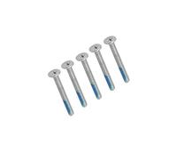 ZAHARA Tornillo de placa base para portátil Asus ROG Ally RC71L, Rog Ally X (2024) RC72 RC72LA tornillos para portátil (5 unidades, Argent)