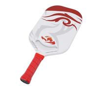 ZAICOLER Paleta Pickleball Fibra Carbono Grafito 16mm Premium Alta Resistencia Durable MAX Sweet Spot Patrón Dragón Sistemas Absorción Impactos Pro Competition Interior Exterior
