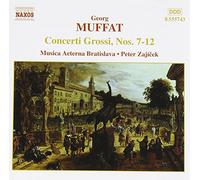 Zajicek,Peter - Concerti Grossi, Vol. 2