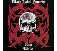 Zakk Wylde - Stronger Than Death