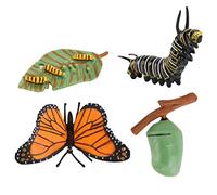 zalati Mariposa Ciclo de Crecimiento Modelo biológico Figura Juguetes para niños Juguetes educativos Herramientas de enseñanza