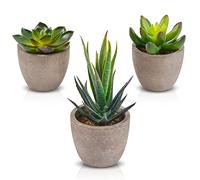 Zalava Plantas Suculentas Artificiales, 3 Piezas Plantas Artificiales Decorativas, Verdes Planta Falsa con Maceta, Pequeños Adornos Suculentos Adecuados para Hogar Oficina Jardín Baño Cocina Balcón
