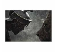 ZAMAEIU Cuadro En Lienzo, Enfrentamiento entre Humanos y Leones, Carteles de animales e impresiones Mural Cuadros para pared, Adecuado para sala de estar, dormitorio, etc.（gris-60x90cm Sin marco