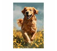 ZAMAEIU Cuadro En Lienzo Golden retriever corriendo Carteles de perro animales e impresiones, Adecuado para sala de estar, dormitorio, etc.（marrón-60x90cm Sin marco