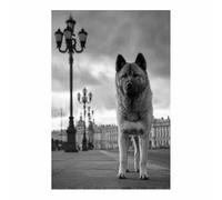 ZAMAEIU Cuadro En Lienzo Haciendo una pausa en la calle. Carteles de perro animales e impresiones, Adecuado para sala de estar, dormitorio, etc.（blanco y negro-30x50cm Sin marco