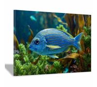 ZAMAEIU Impresión En Lienzo Océano Los peces habitan entre las algas. De Obras De Arte Moderno, Fácil De Colgar Para Sala De Estar Despacho Sala De Reuniones Entrada（azul-60x90cm Enmarcado