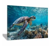 ZAMAEIU Impresión En Lienzo Océano Tortuga jugando entre los arrecifes. De Obras De Arte Moderno, Fácil De Colgar Para Sala De Estar Despacho Sala De Reuniones Entrada（azul-20x30cm Enmarcado