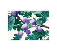 ZAMAEIU Moderno Flores Arte Deco Botánica Fruto morado colgando de las ramas decoración de pared moderna para dormitorio, baño, sala de estar（Morado-80x120cm Sin marco