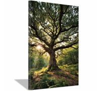 ZAMAEIU paisajes naturales Cuadro En Lienzo Amaneceres en bosques antiguos Decoracion Pinturas, Murales Modernos Impresiones Para Dormitorio Salon Poster（verde95-50x70cm Enmarcado