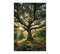 ZAMAEIU paisajes naturales Cuadro En Lienzo Amaneceres en bosques antiguos Decoracion Pinturas, Murales Modernos Impresiones Para Dormitorio Salon Poster（verde95-30x50cm Sin marco