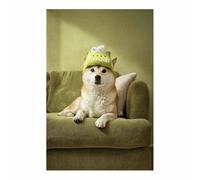 ZAMAEIU perro Lienzo decorativo Descansando en el sofá. Carteles de animales e impresiones Mural Cuadros, para sala de estar, dormitorio,Pasillo etc.（verde-50x70cm Sin marco